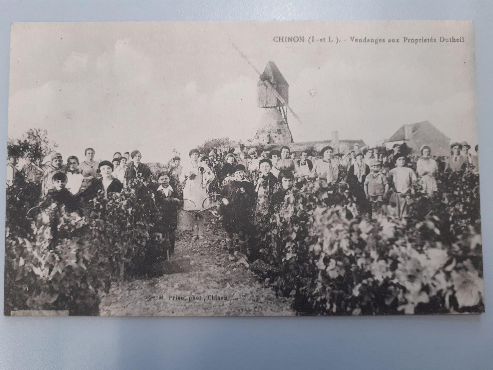Vendanges aux propriétés Dutheil