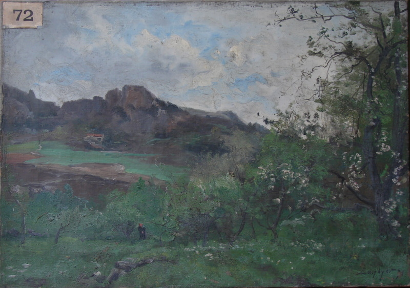 Un verger Arles près d’Amélie les Bains, Pyrénées Orientales.