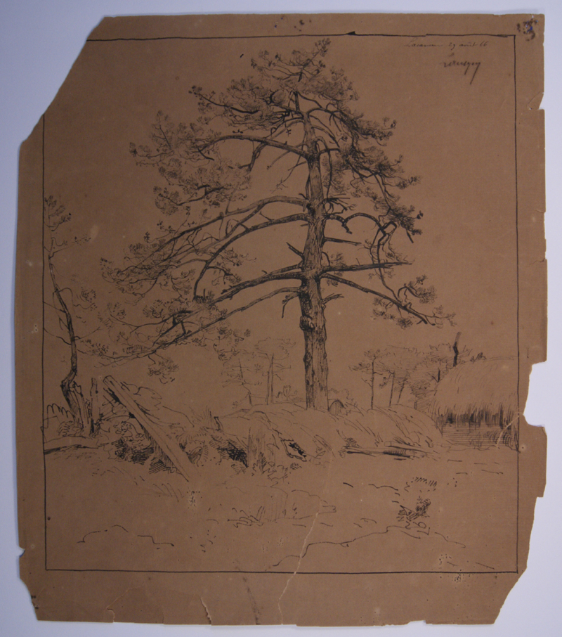 A Lacanau près Bordeaux. (Titre inscrit)