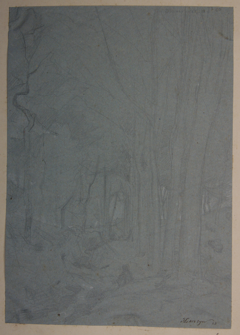 Dessous de bois de hêtres à Ploaré. (Titre inscrit)