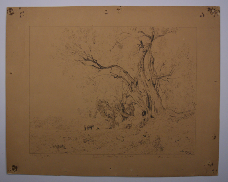 Environs de Menton en hiver. (Titre inscrit)