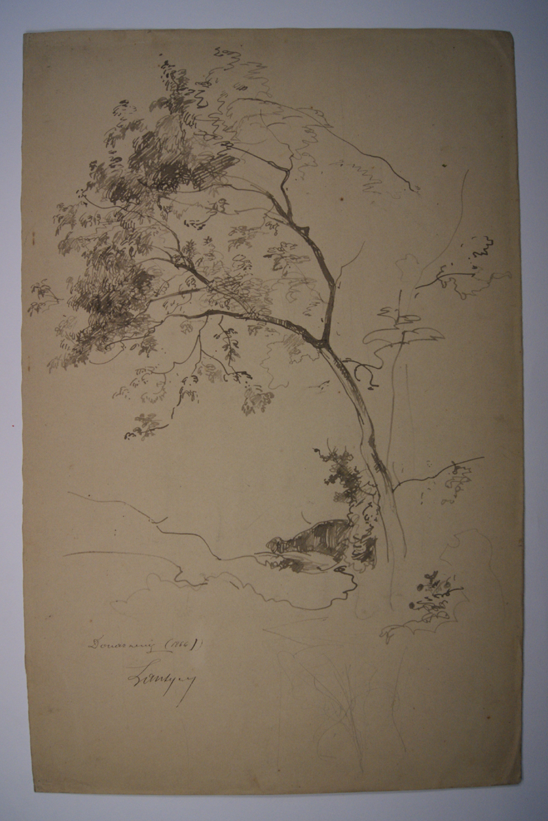 Arbre à Douarnenez. (Titre inscrit)