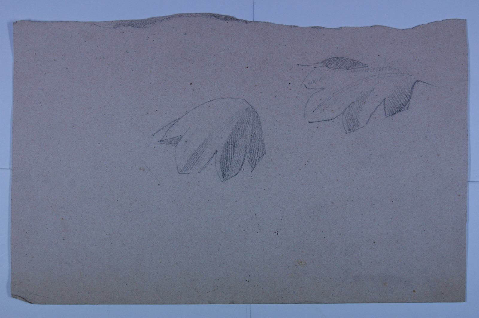 Motif architectural (deux feuilles). (titre factice)