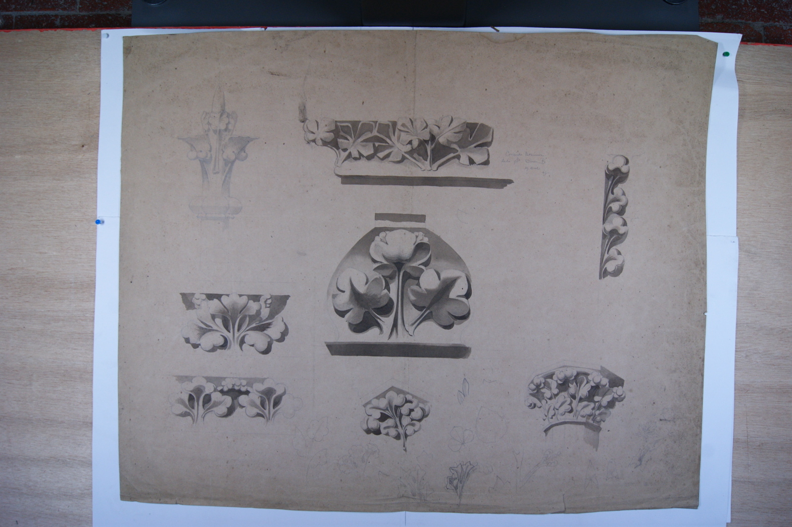 Huit projets de feuillage stylisés pour corniche, chapiteau, etc. (titre factice)