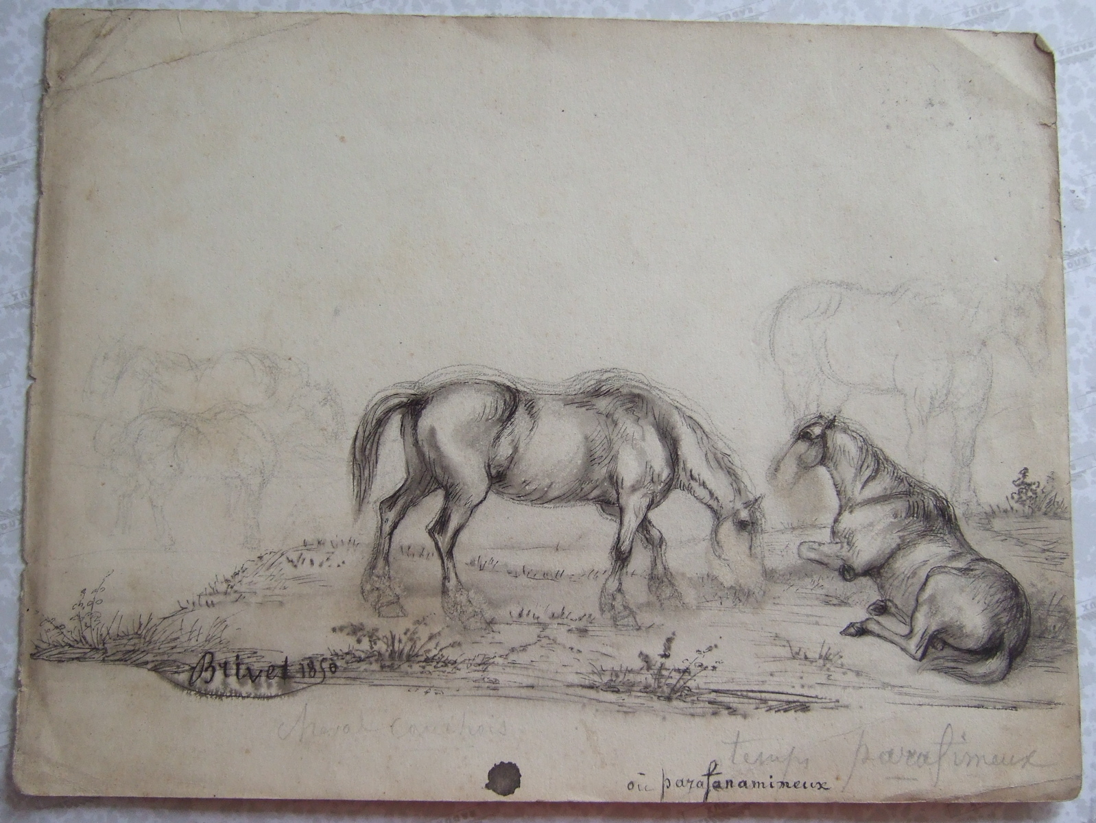 Deux chevaux, dont un qui broute. (titre factice)