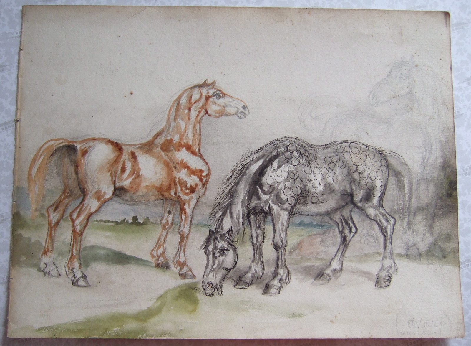 Cheval gris pommelé et cheval alezan. (titre factice)