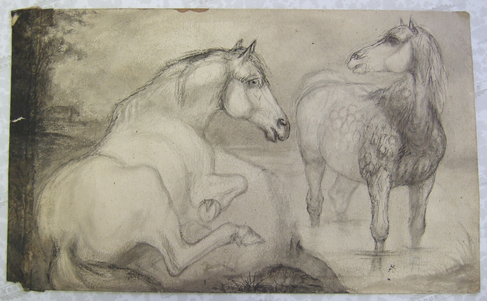 Un cheval couché et un autre debout dans un étang. (titre factice)