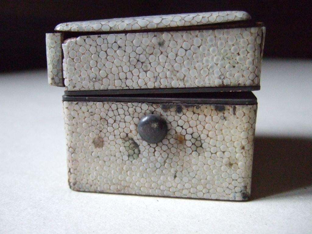 Encrier en galuchat (titre factice)