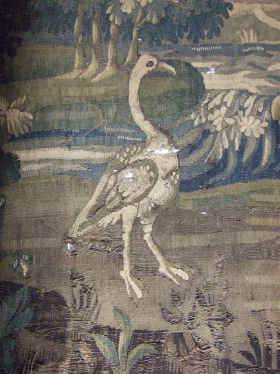 Verdure, partie d'ensemble (titre factice)