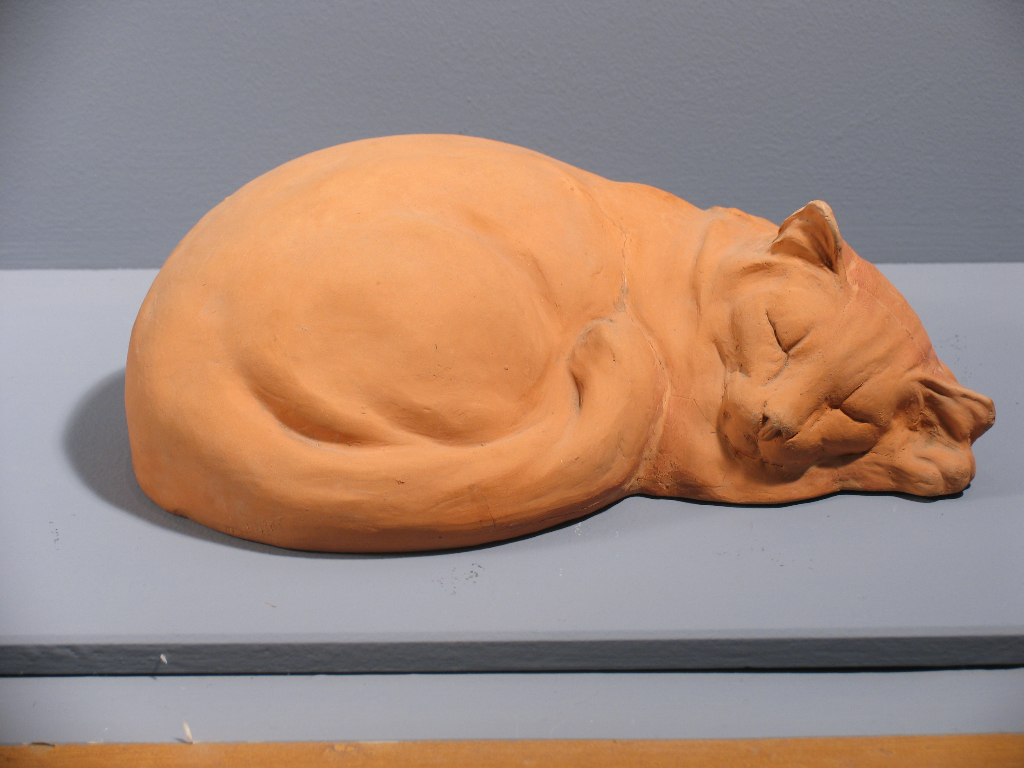 Chat couché