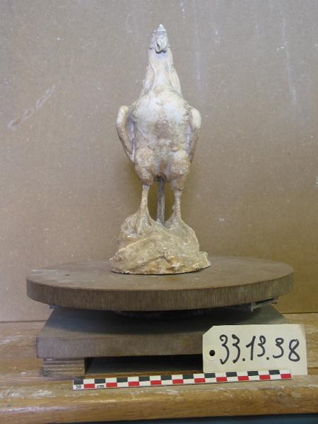 Coq