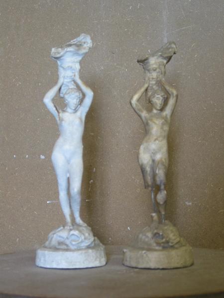 Vénus marine