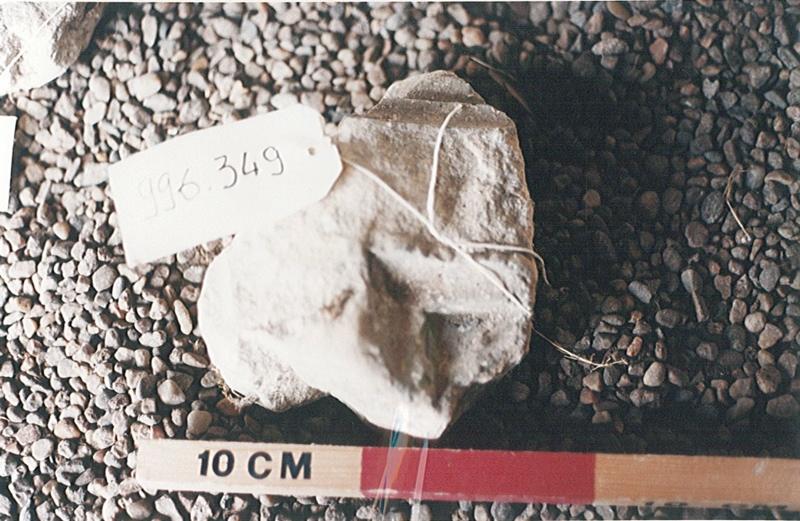 Très petit fragment mouluré