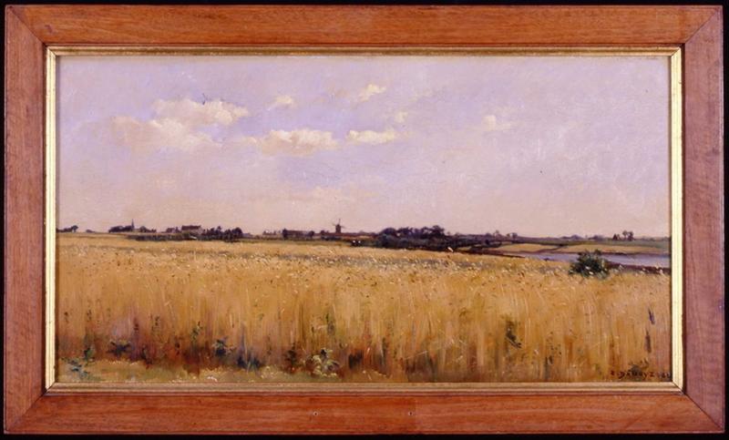 Champ de blé