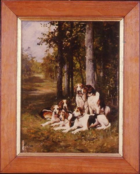 Relais de chiens dans la forêt