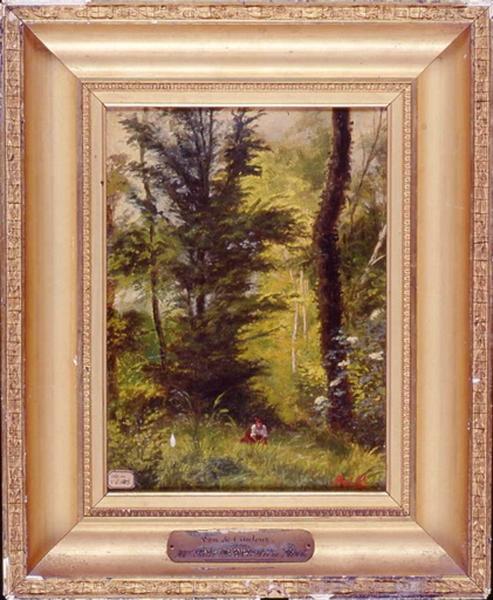 Sous-bois, le Monceau, près de Pithiviers