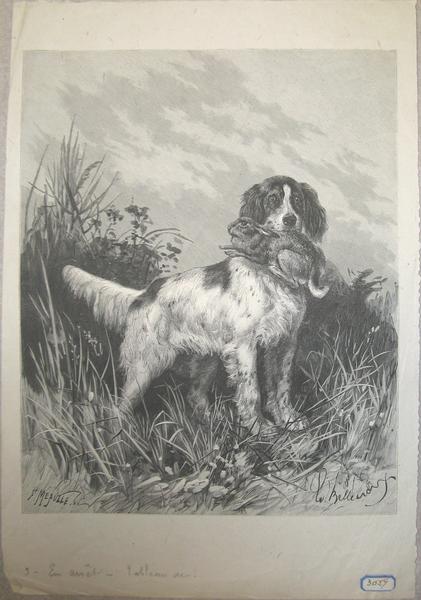 Chien d'arrêt