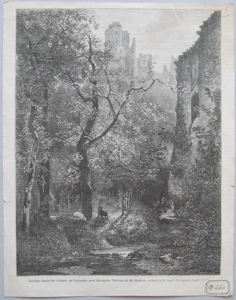 Vue du château de Lavardin