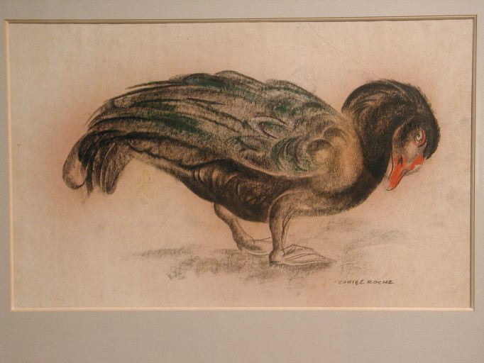 Canard (titre d’usage)