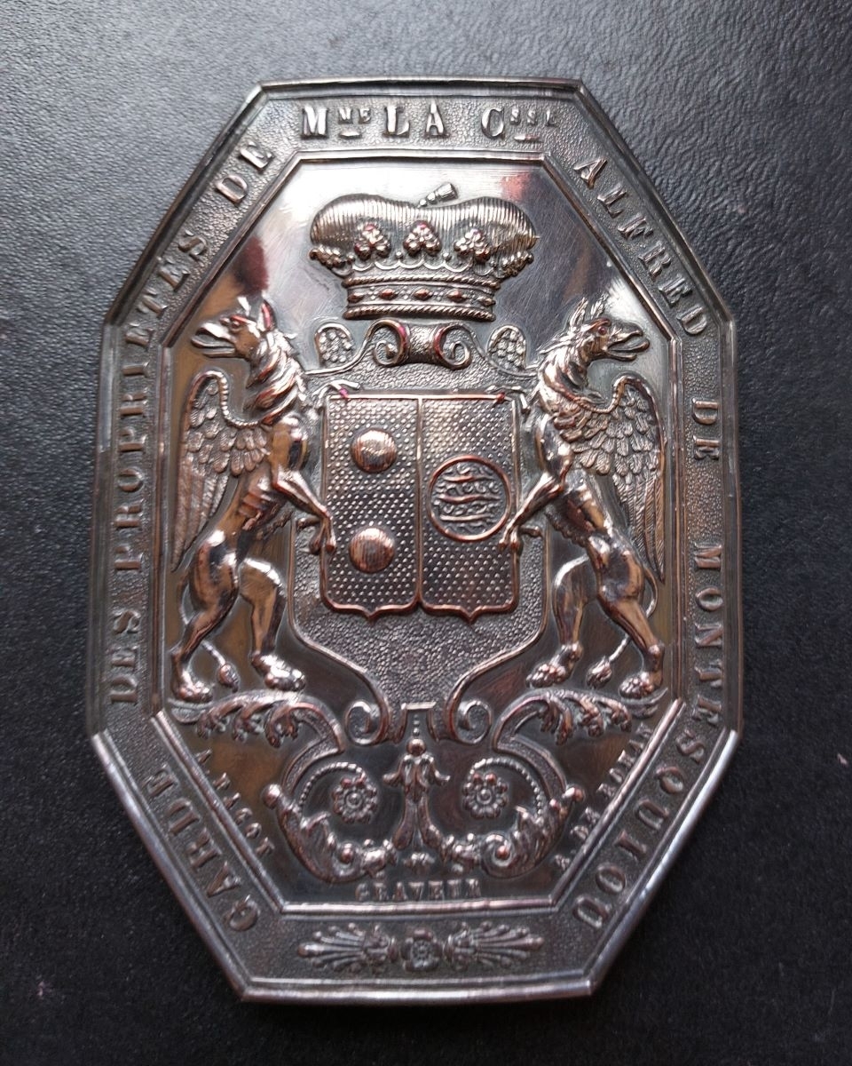 GARDE DES PROPRIETES DE MME LA Csse ALFRED DE MONTESQUIOU-FESENZAC (titre inscrit)