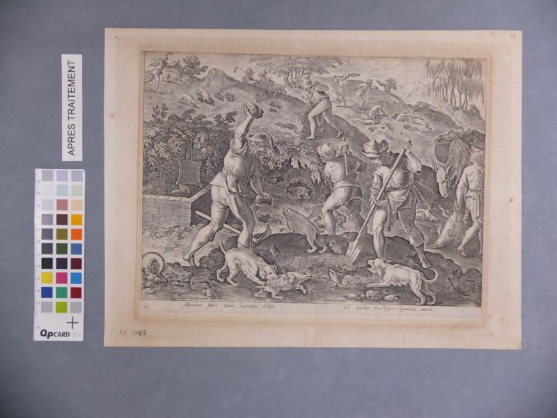 Chasse aux blaireaux (titre factice)