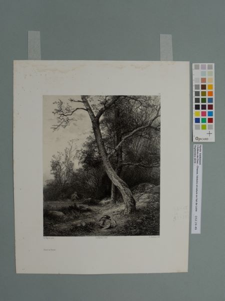 Chasse au faucon (titre factice)