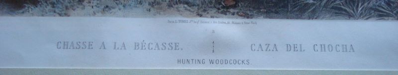 CHASSE A LA BÉCASSE (titre inscrit)