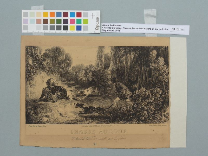 CHASSE AU LOUP (titre inscrit)