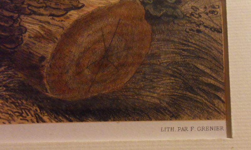 CHASSE AU CHEVREUIL (titre factice)