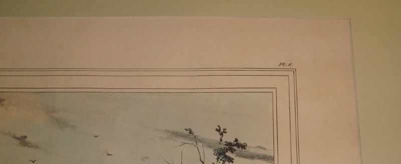 LA CURÉE DU LIÈVRE (titre inscrit)