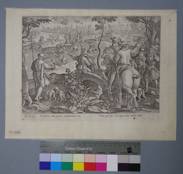 Hérons chassés aux faucons (titre factice)