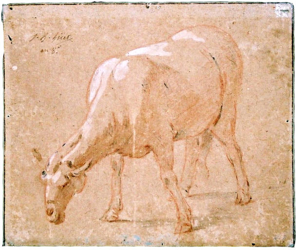 Mouton broutant (titre factice)