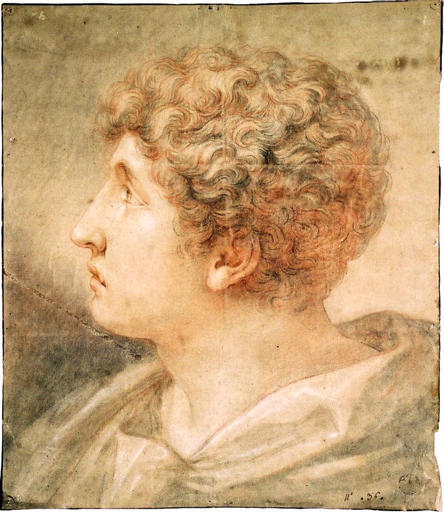 Profil de jeune homme vers la gauche.