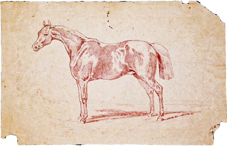 Cheval debout de profil vers la gauche (titre factice)