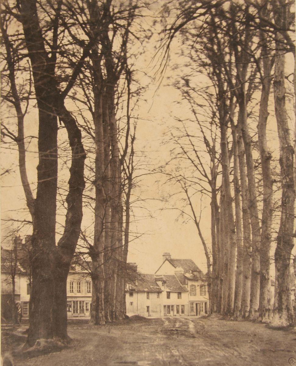 Troyes, allée de grands platanes près du pont Saint-Jacques