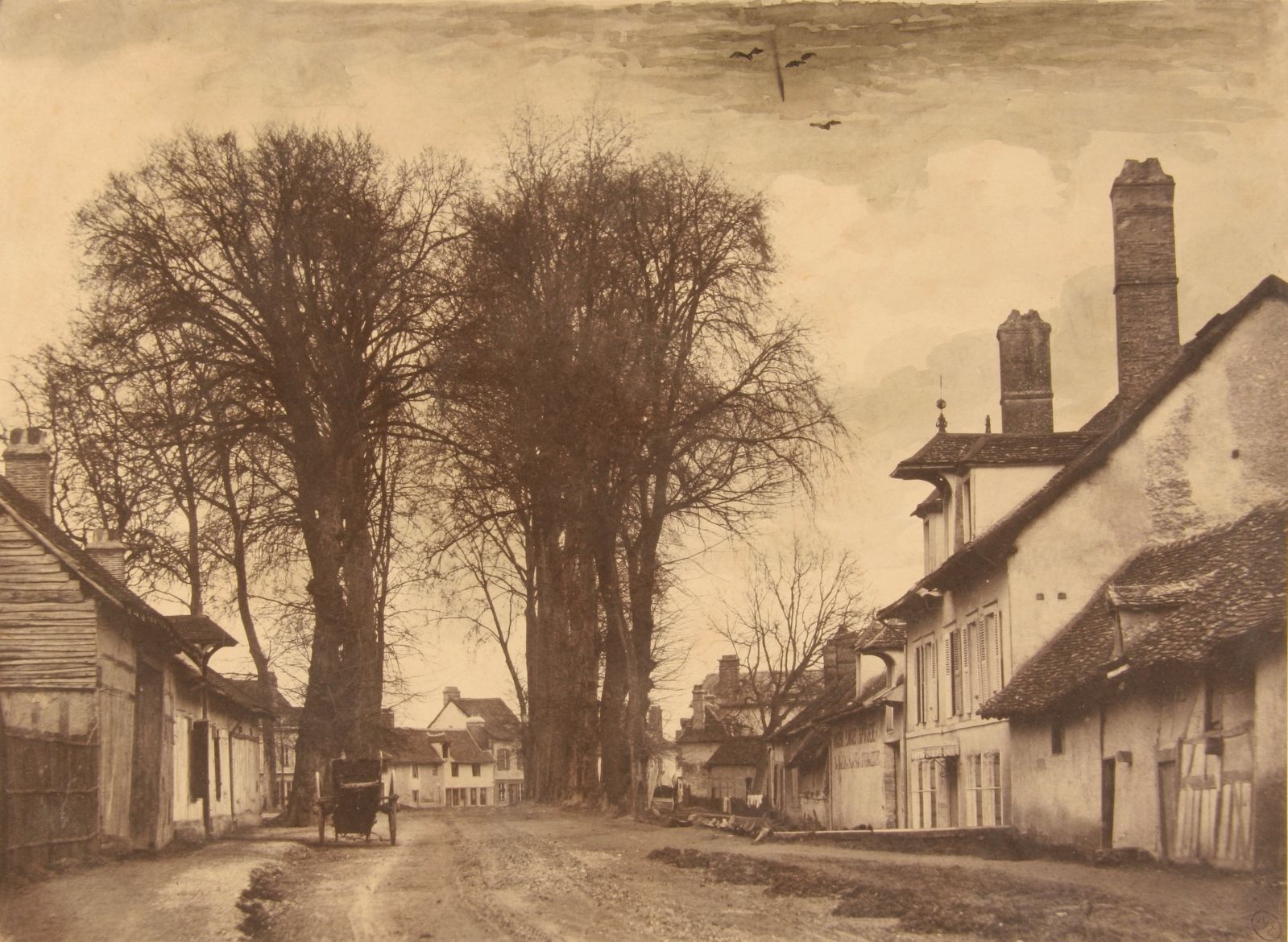 Troyes, les grands ormes près du pont Saint-Jacques