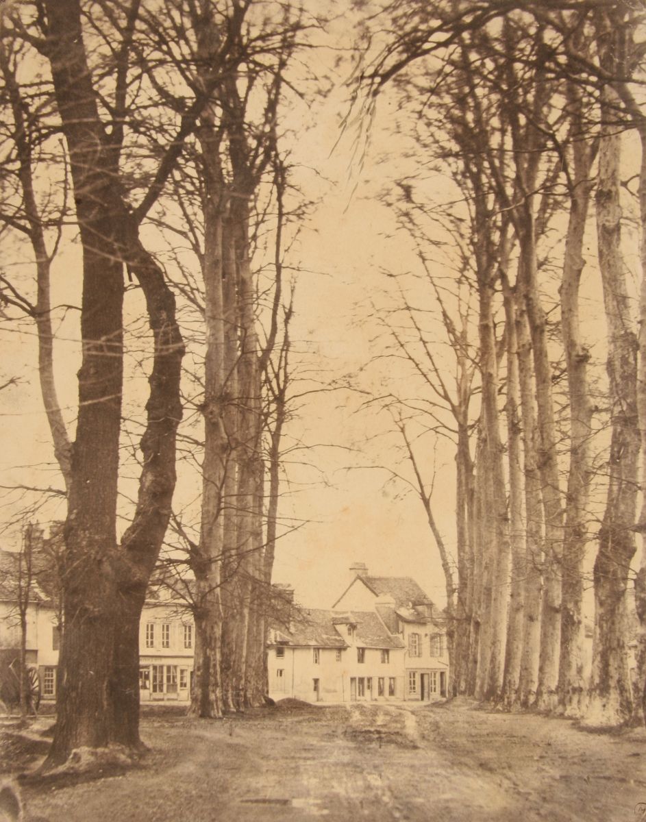 Troyes, allée de grands platanes près du pont Saint-Jacques