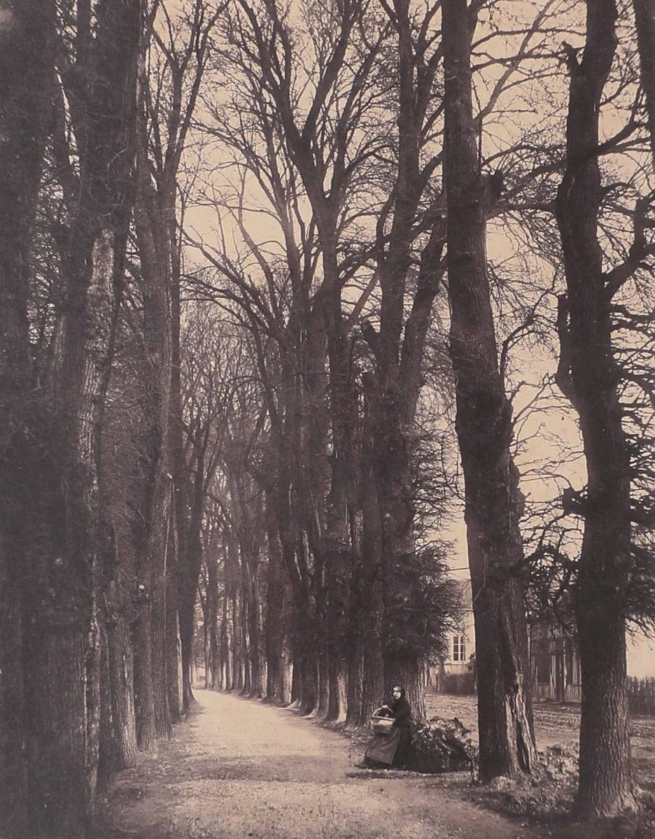 Troyes, une allée du mail de Chaillouet