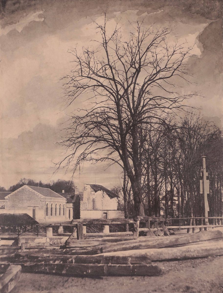Troyes, arbres près du pont de Juilly