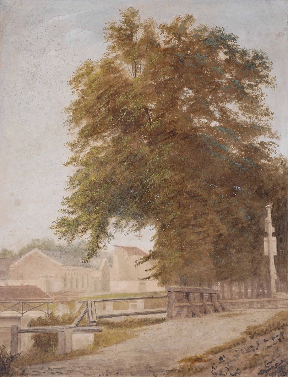 Troyes, arbres près du pont de Juilly