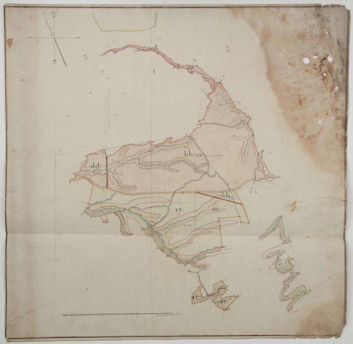 Carte dite de la forêt de la Boussole