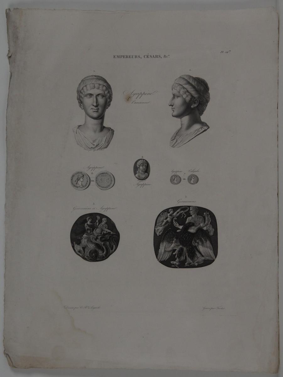 Planches de l'iconographie romaine (pl 24) : Empereurs, Césars, &Ca. : Agrippine l'ancienne