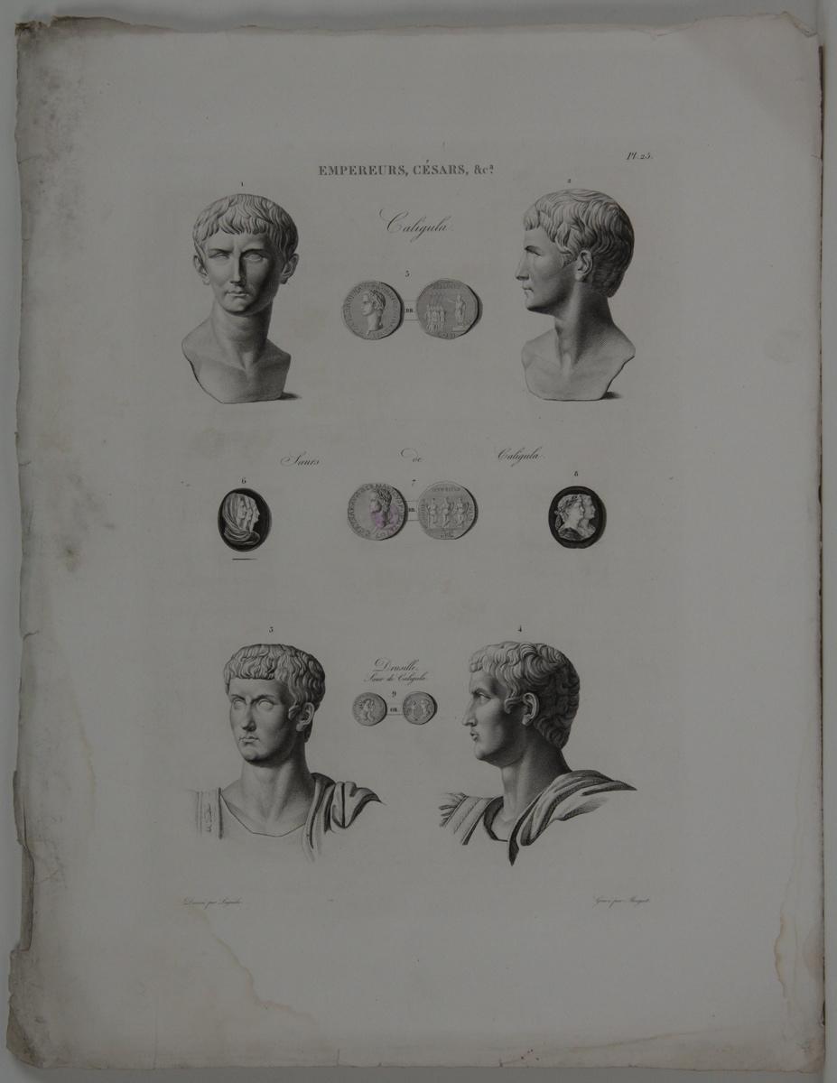 Planches de l'iconographie romaine (pl 25) : Empereurs, Césars, &Ca. : Caligula, Drusille, soeur de Caligula