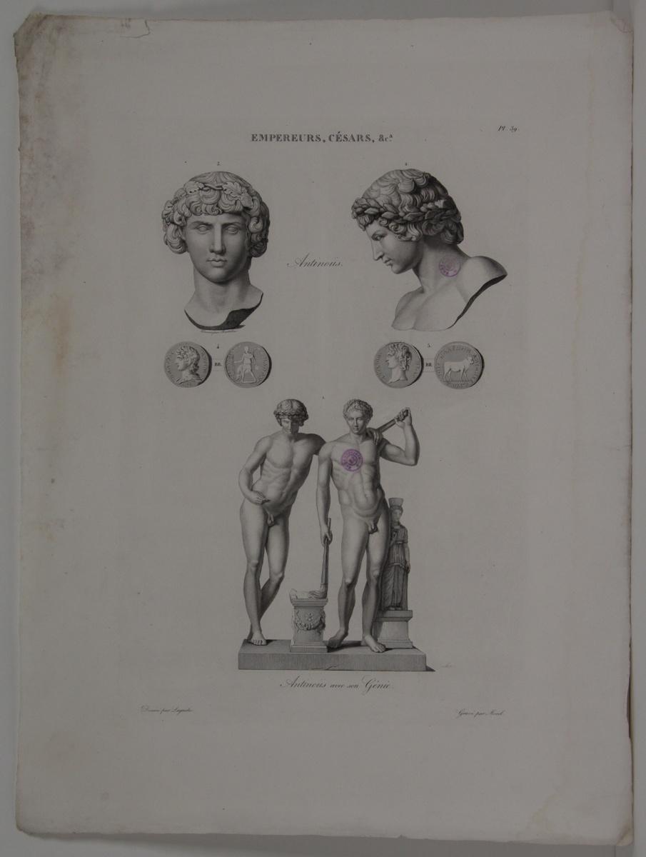 Planches de l'iconographie romaine (pl 39) : Empereurs, Césars, &Ca. : Antinoüs