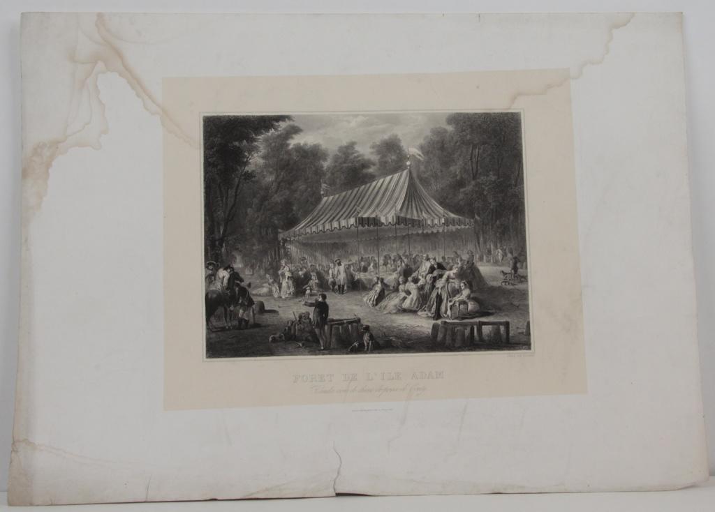 Forêt de l'île Adam