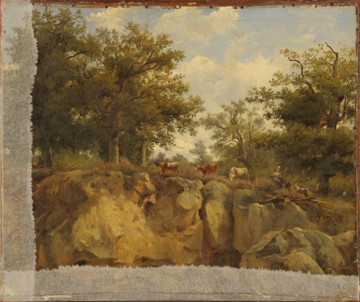 Pâturage sur des rochers
