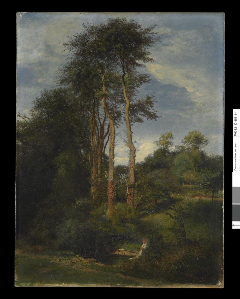 L'automne dans les bois