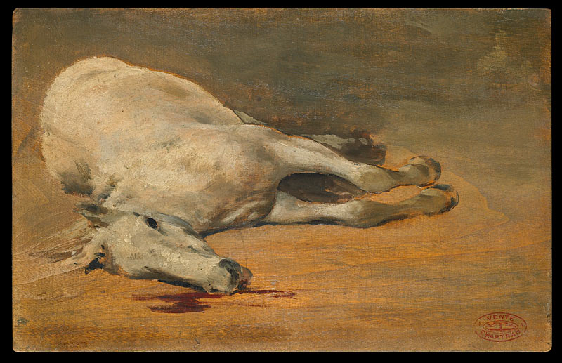 Cheval mort, vu de face en raccourci