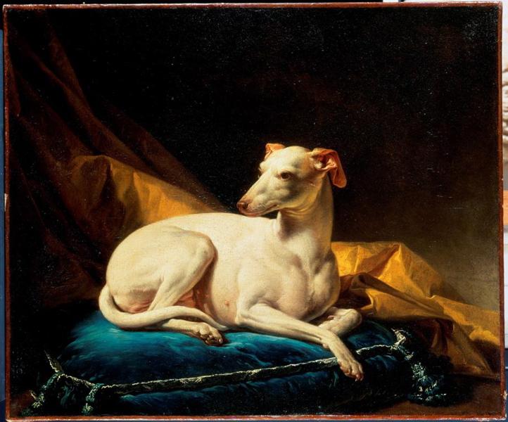 Portrait de Diane, levrette de Bergeret