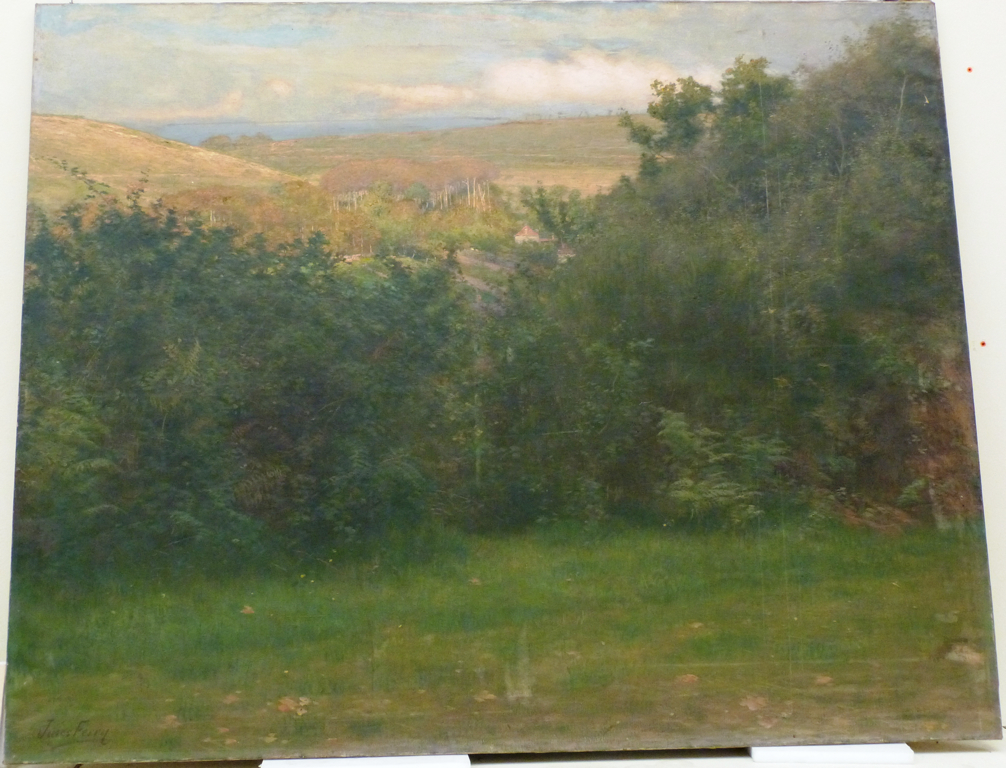 A travers un buisson (Normandie)